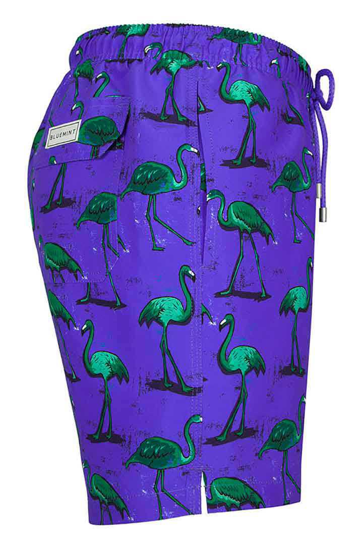 Picture of Arthus Strech Swim Short-Plum Flamingo