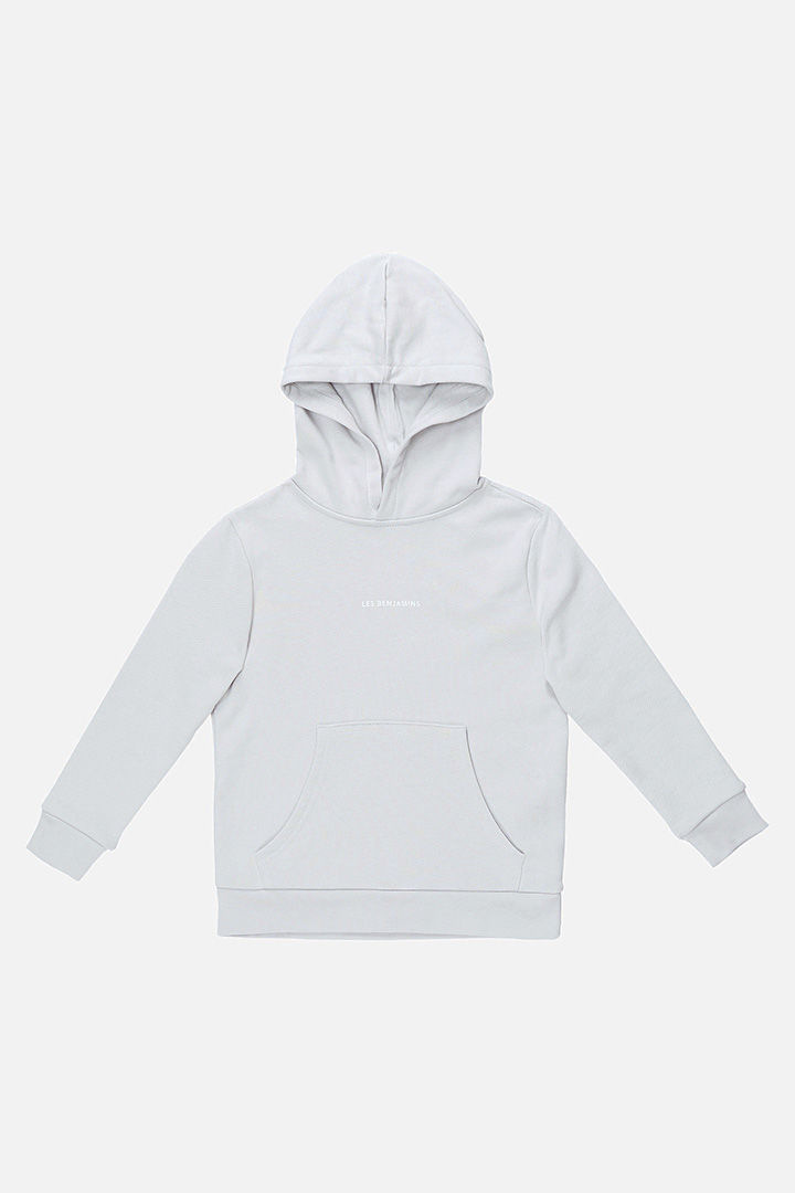 Picture of Hoodie-001