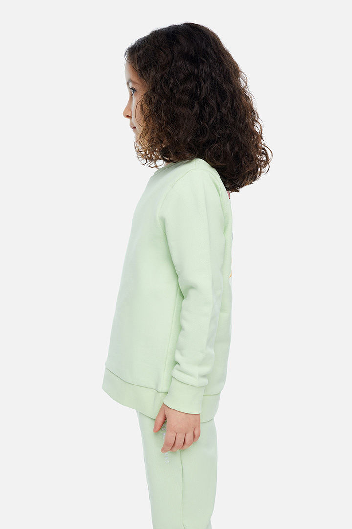 Picture of Sweatshirt-003