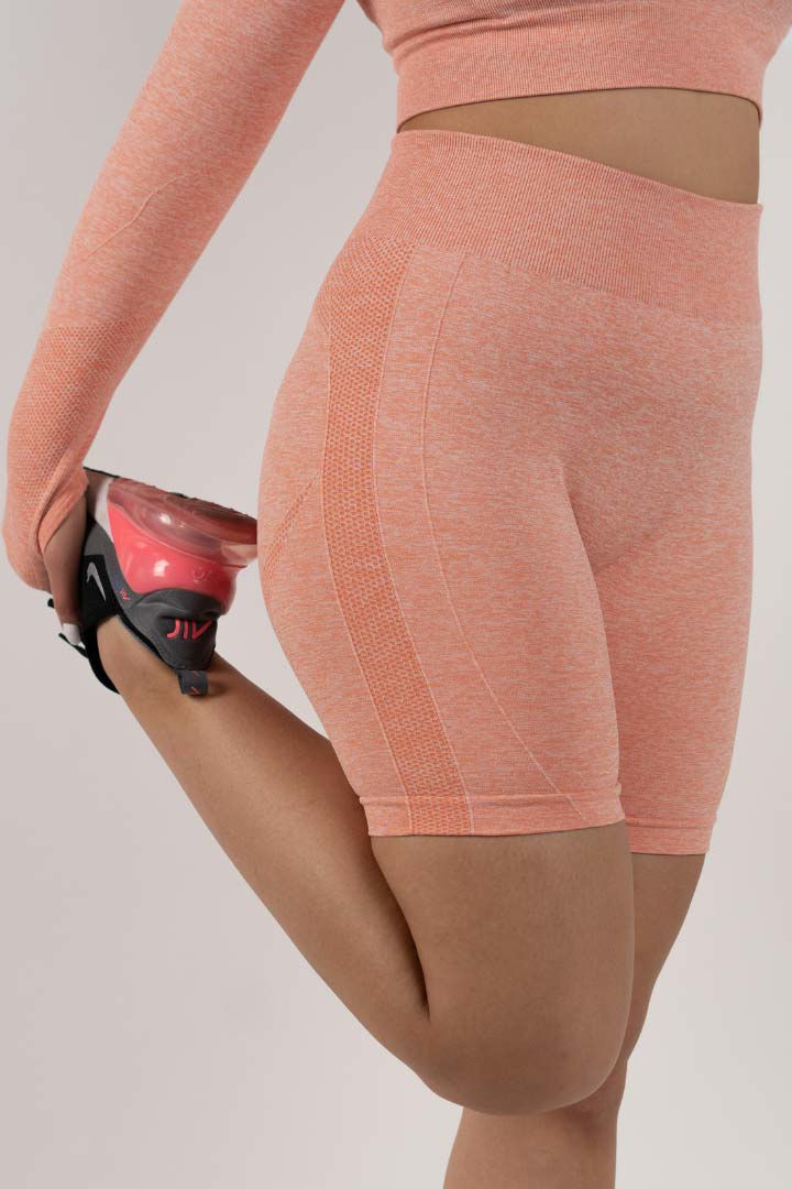 Picture of Peppy 02 Seamless Shorts-Coral