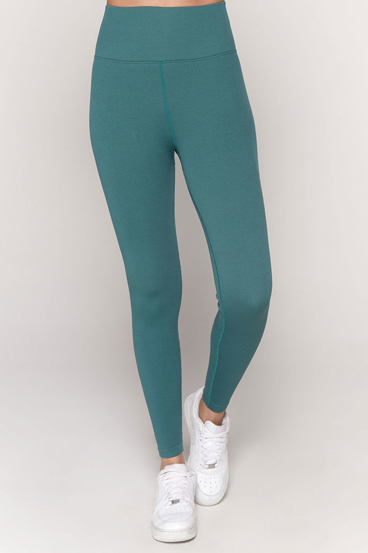 Picture of Love Sculpt Legging - Lagoon