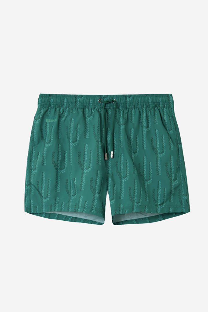 Picture of Cactus Studio Trunks 
