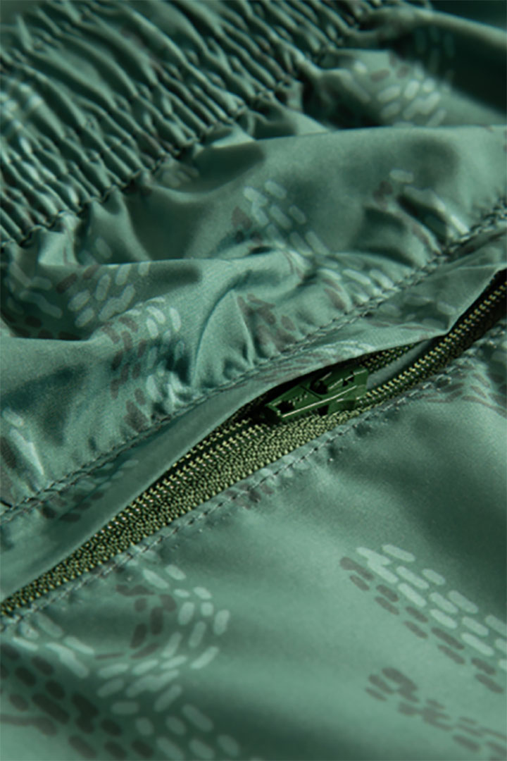 Picture of Cactus Studio Trunks 