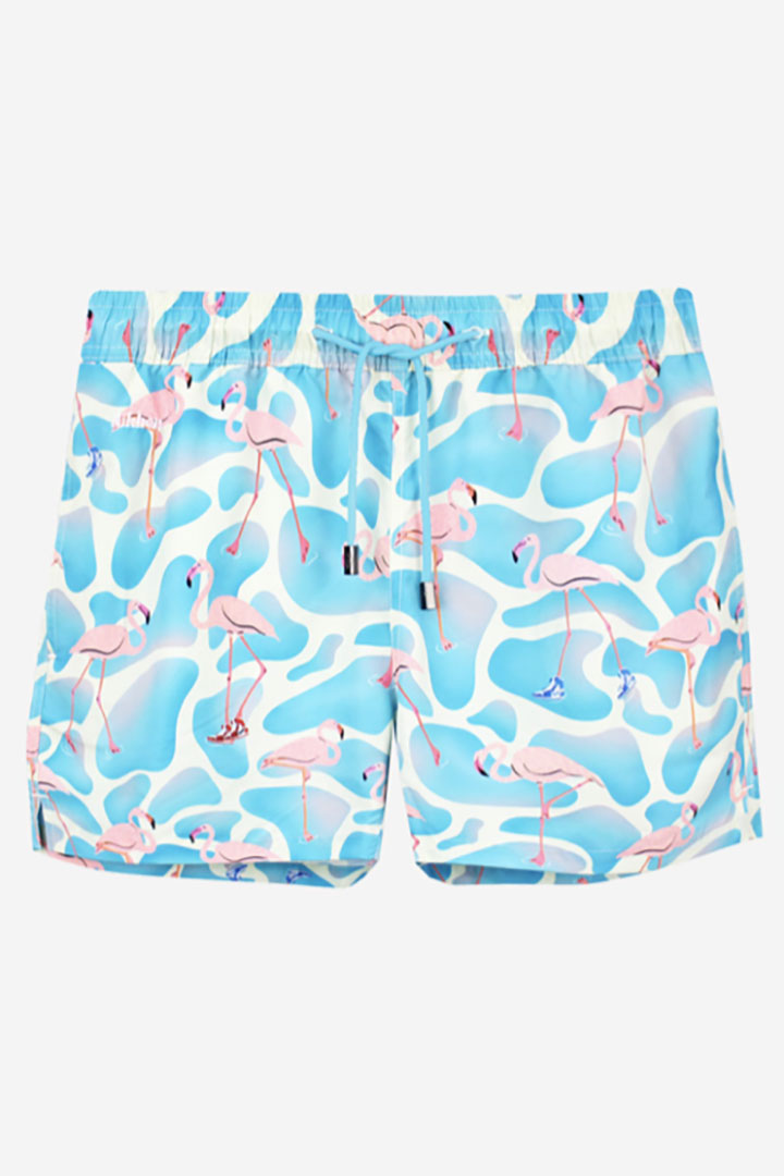 Picture of Flamairgo Classic Swim Short 