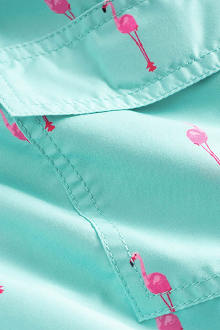 Picture of Flamingo Vice Classic Swim Short 