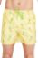 Picture of Hawaiian Delight -Yellow