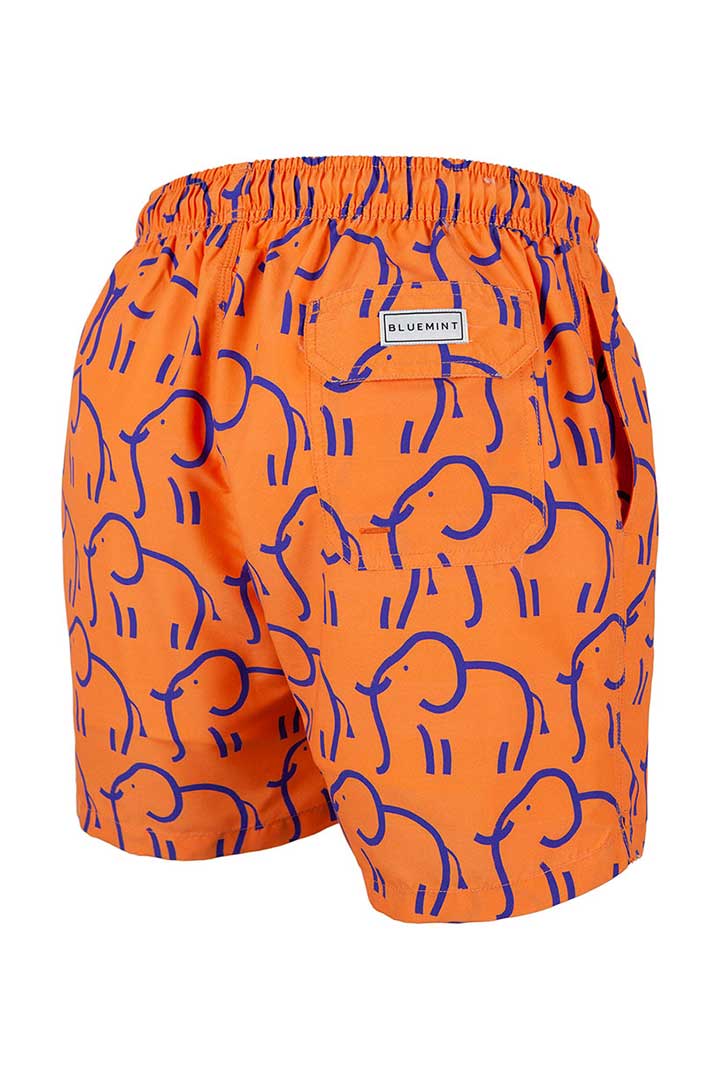 Picture of Arthus Swim Short-Stroke Elephant