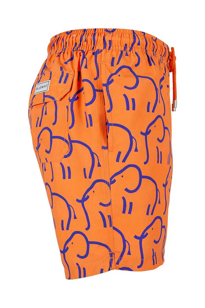 Picture of Arthus Swim Short-Stroke Elephant