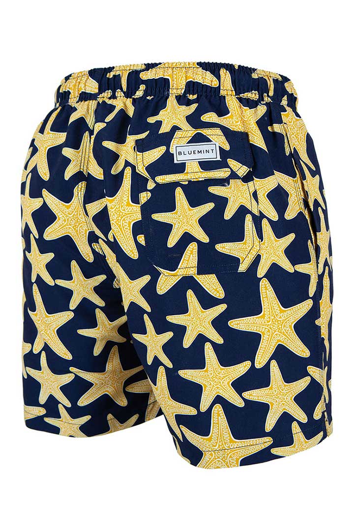 Picture of Arthus Swim Short-Dream star