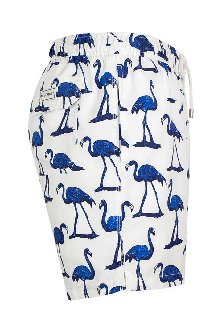 Picture of Arthus Swim Short-Mono Flamingo
