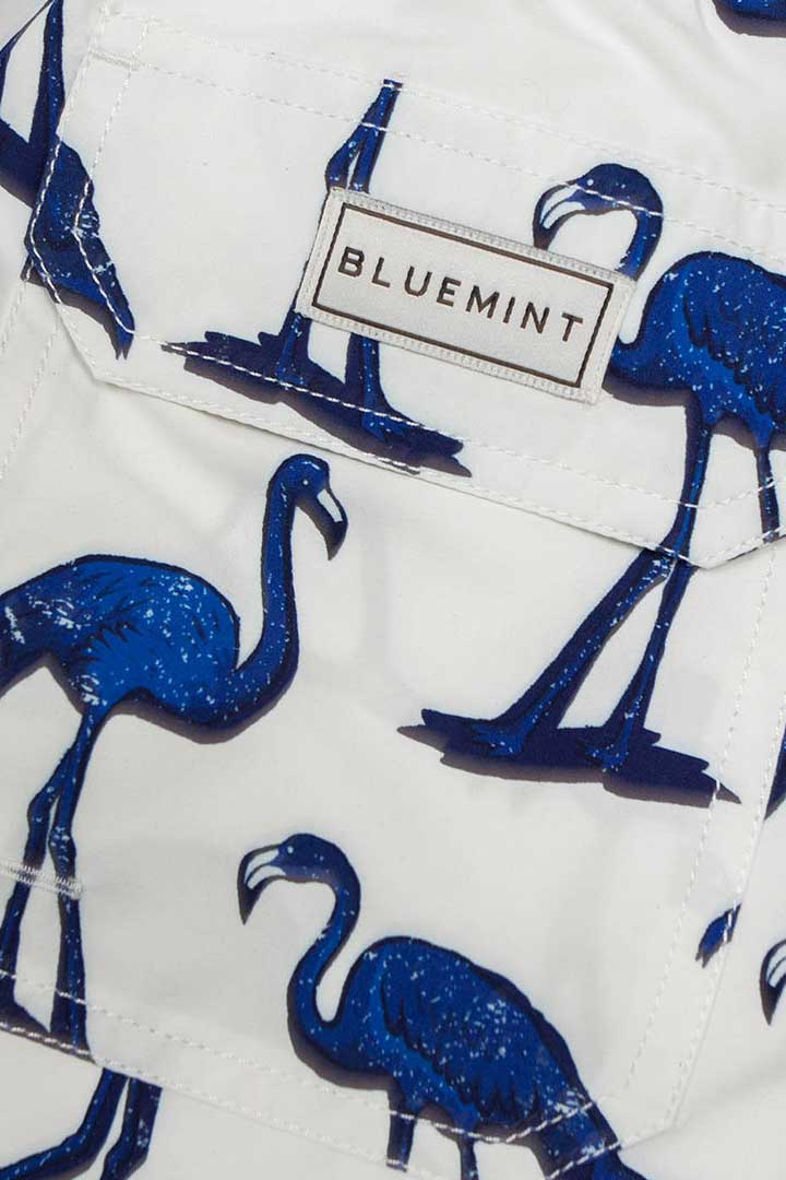 Picture of Arthus Swim Short-Mono Flamingo