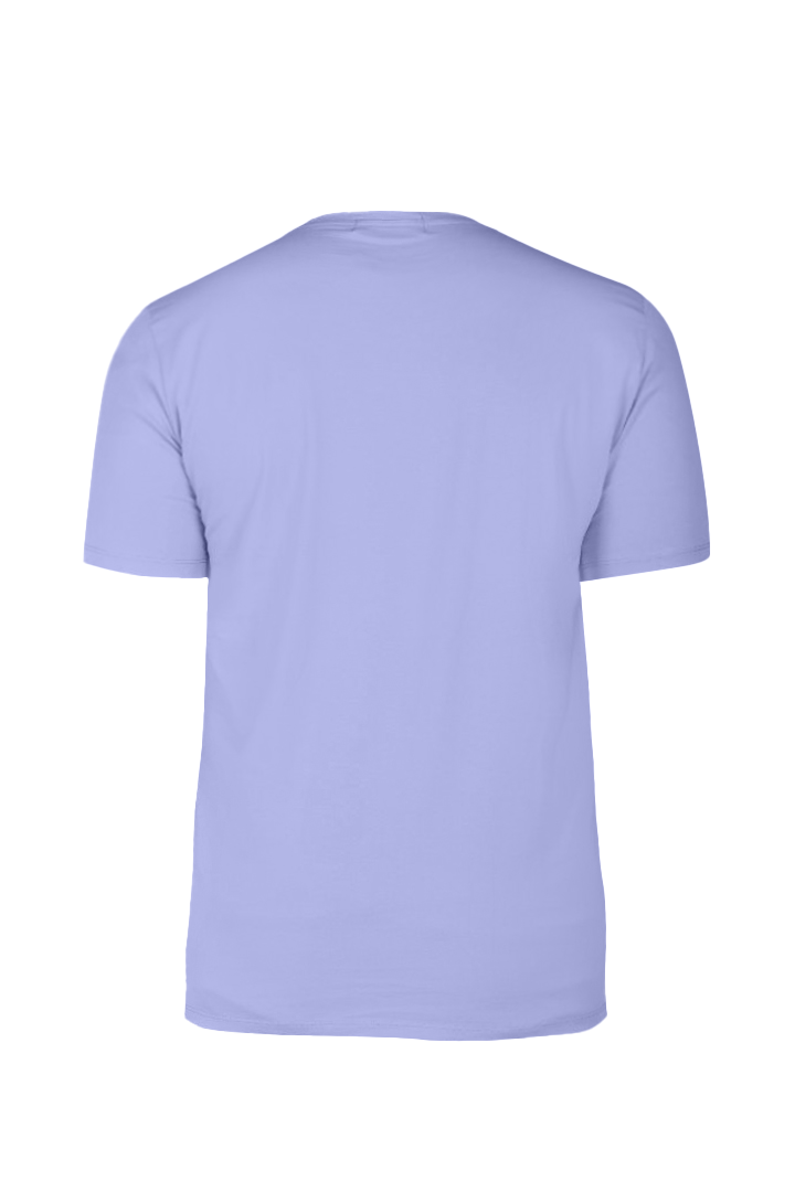 Picture of Men's Round Neck Tshirt - Blue