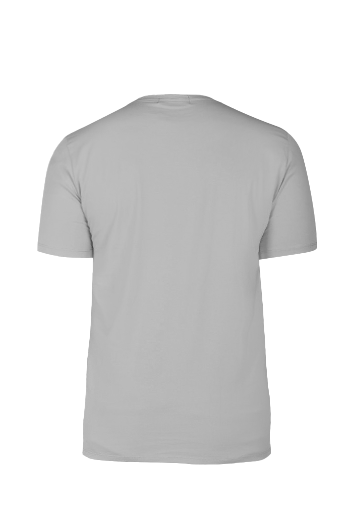 Picture of Men's Round Neck Tshirt - Grey