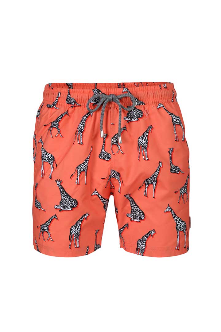 Picture of Printed Swimshorts-Giraffe