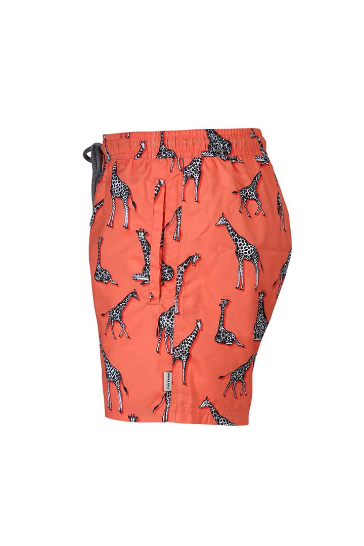 Picture of Printed Swimshorts-Giraffe