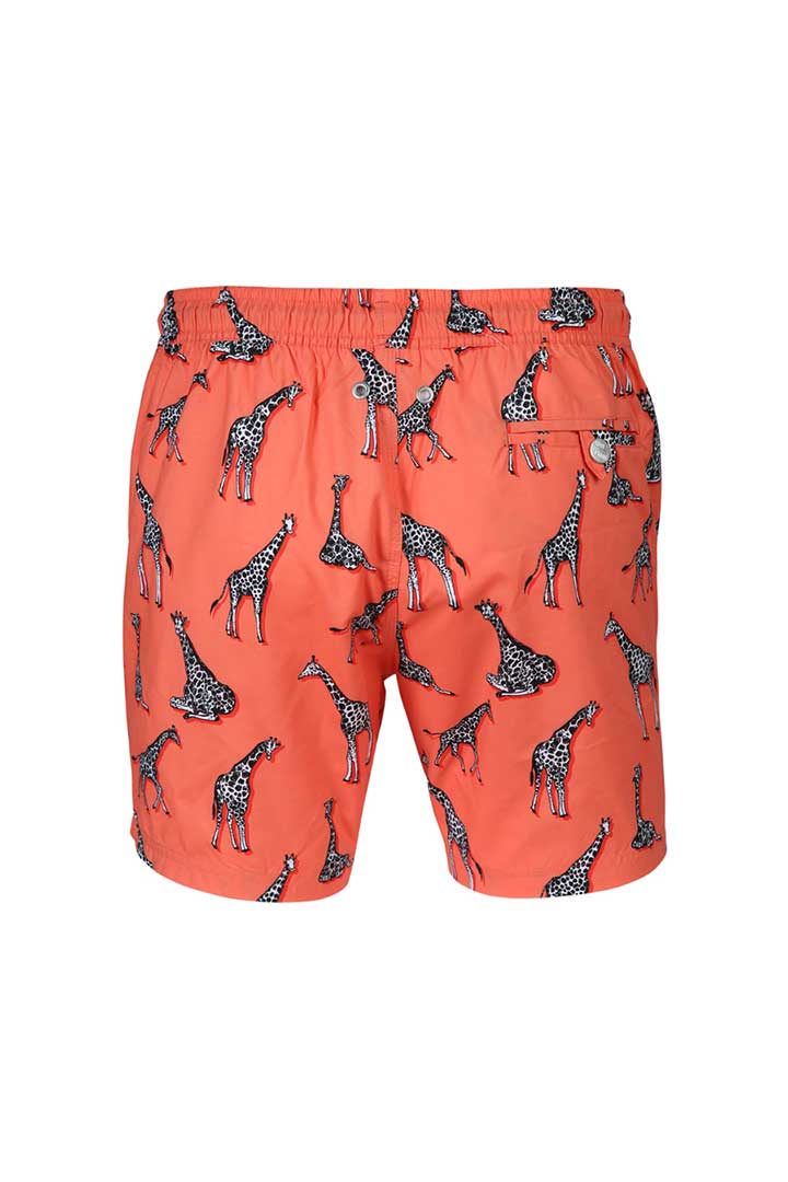 Picture of Printed Swimshorts-Giraffe