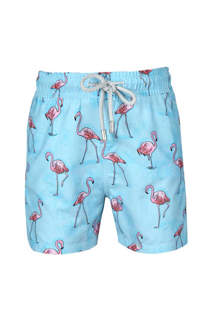 Picture of Printed Swimshorts-Flamingo Blue