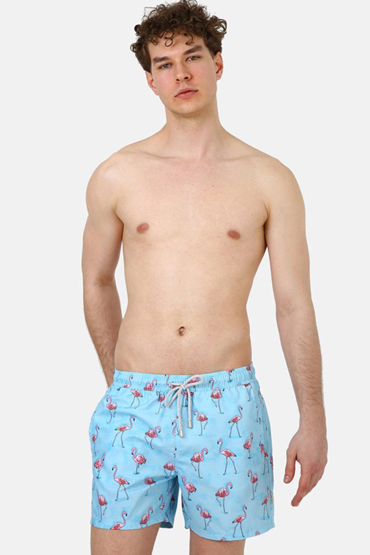 Picture of Printed Swimshorts-Flamingo Blue