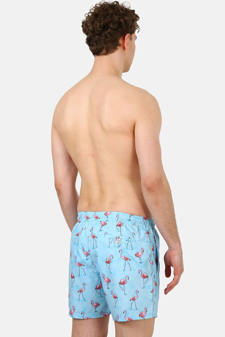 Picture of Printed Swimshorts-Flamingo Blue