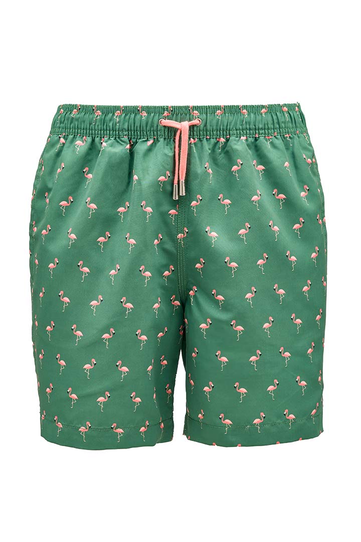 Picture of Flamencos Swimshorts