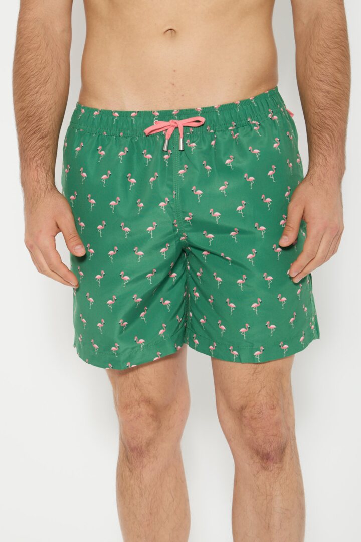 Picture of Flamencos Swimshorts