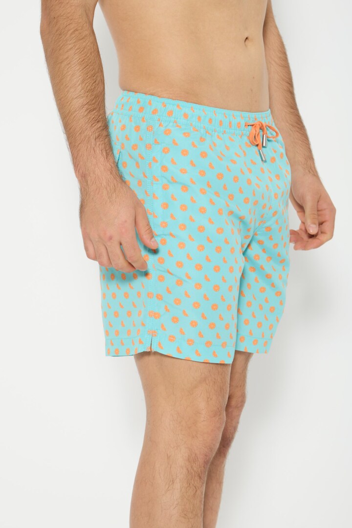 Picture of Naranjas Swimshorts 