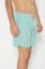 Picture of Naranjas Swimshorts 