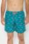 Picture of Tiburones Swimshorts