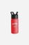 Picture of Kids Water Bottle - 450ml - Cars