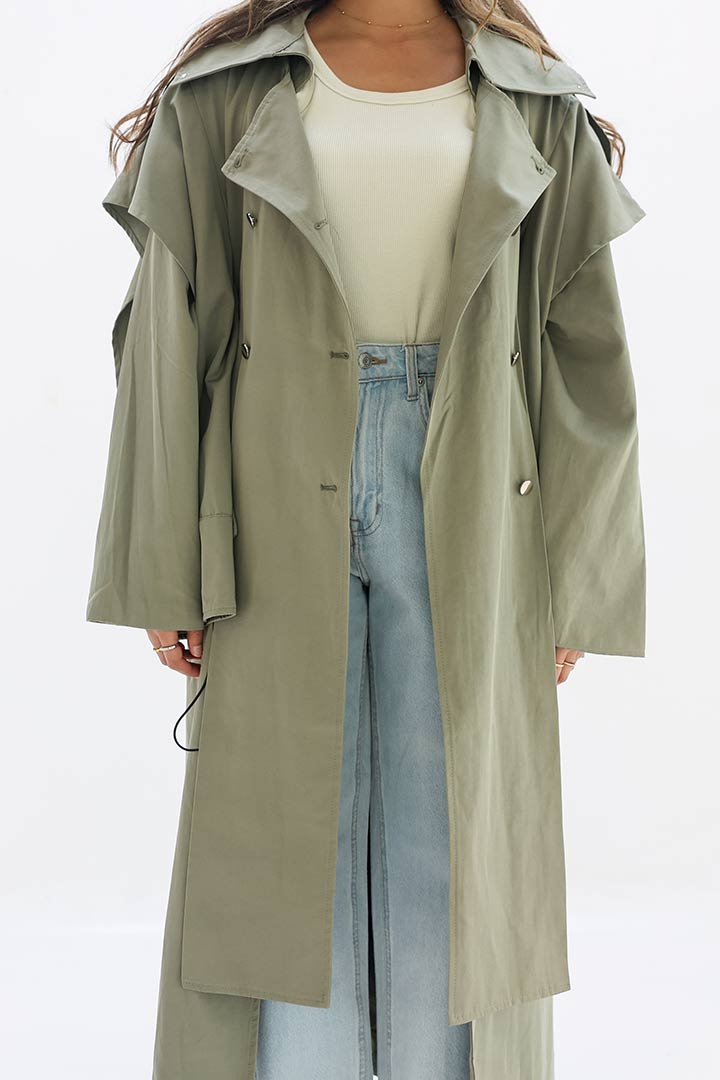 Picture of Windbreak Olive Trench 