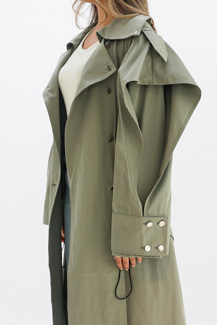 Picture of Windbreak Olive Trench 