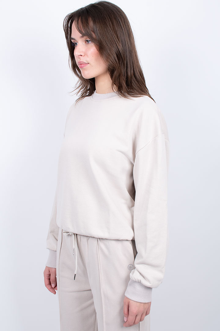 Picture of Taupe sweatshirt