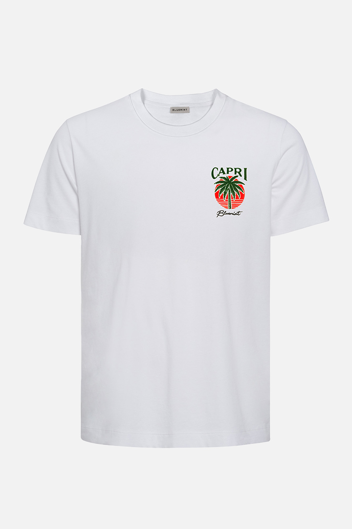 Picture of Nolan T-Shirt - Capri