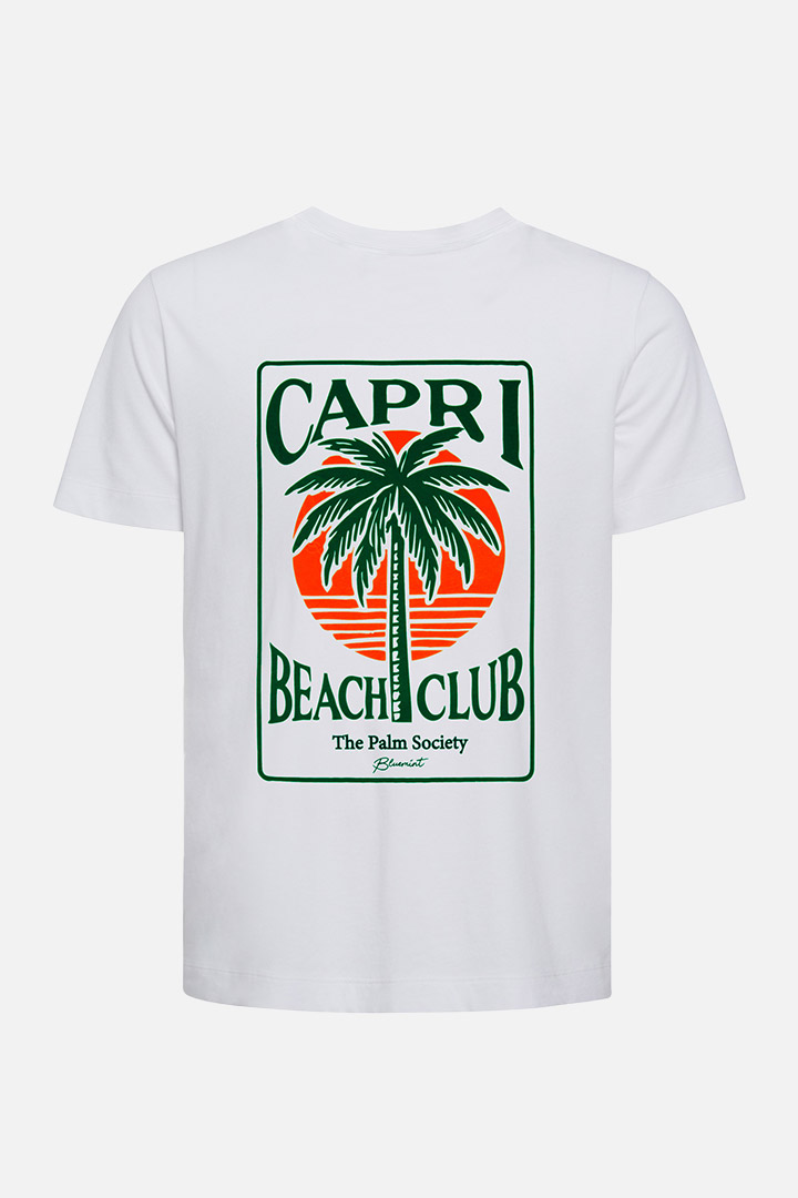 Picture of Nolan T-Shirt - Capri