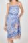Picture of Blue Printed Swim Set