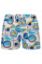 Picture of Arthus Boy Swim Short - Blue Dive