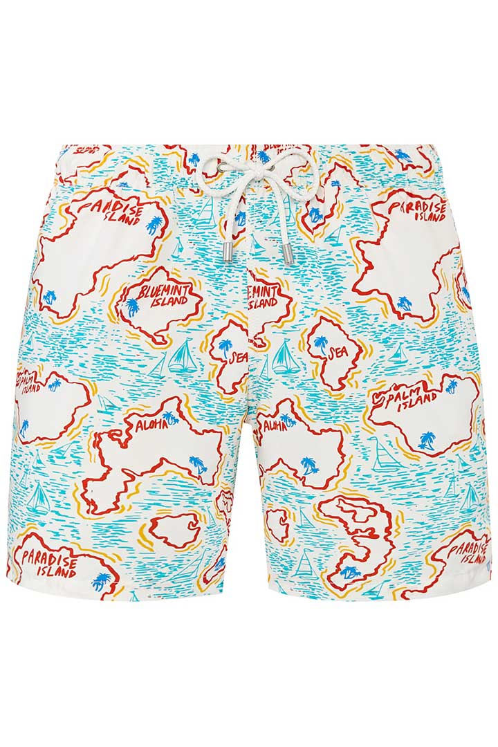 Picture of Arthus Swim Short - Bluemint Island