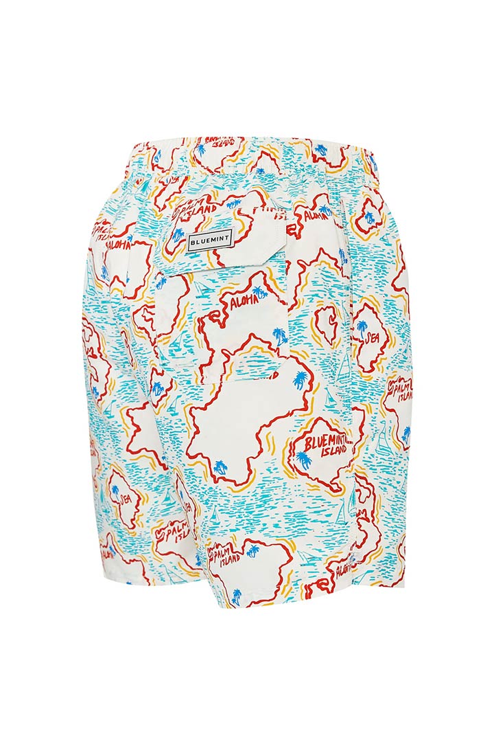 Picture of Arthus Swim Short - Bluemint Island