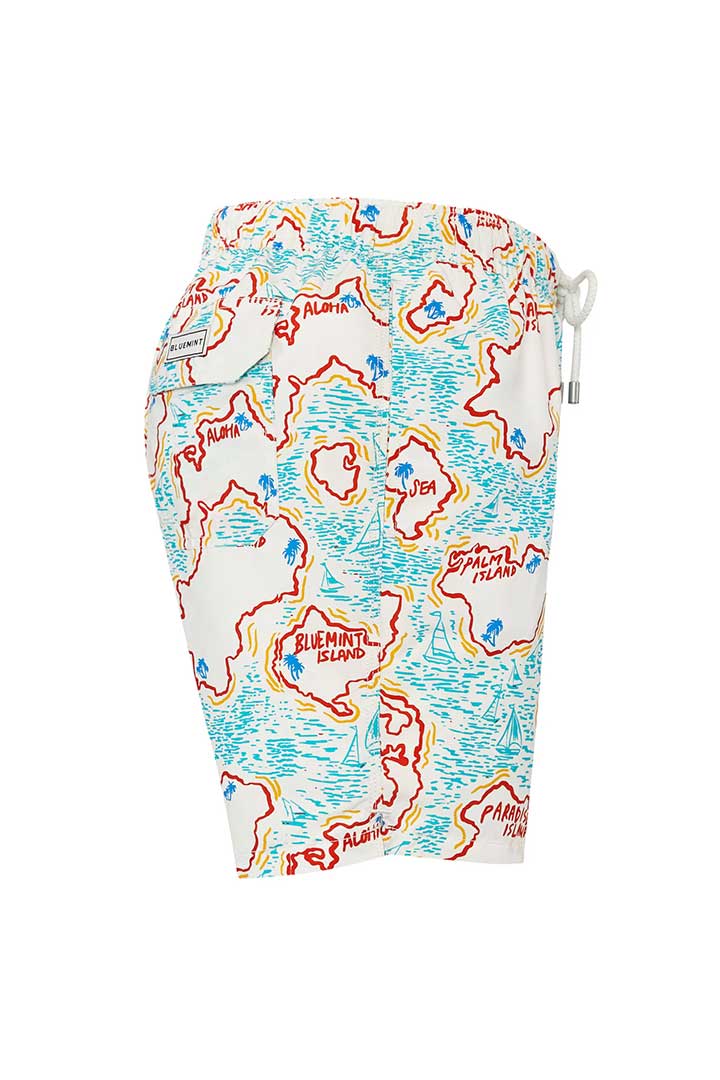 Picture of Arthus Swim Short - Bluemint Island