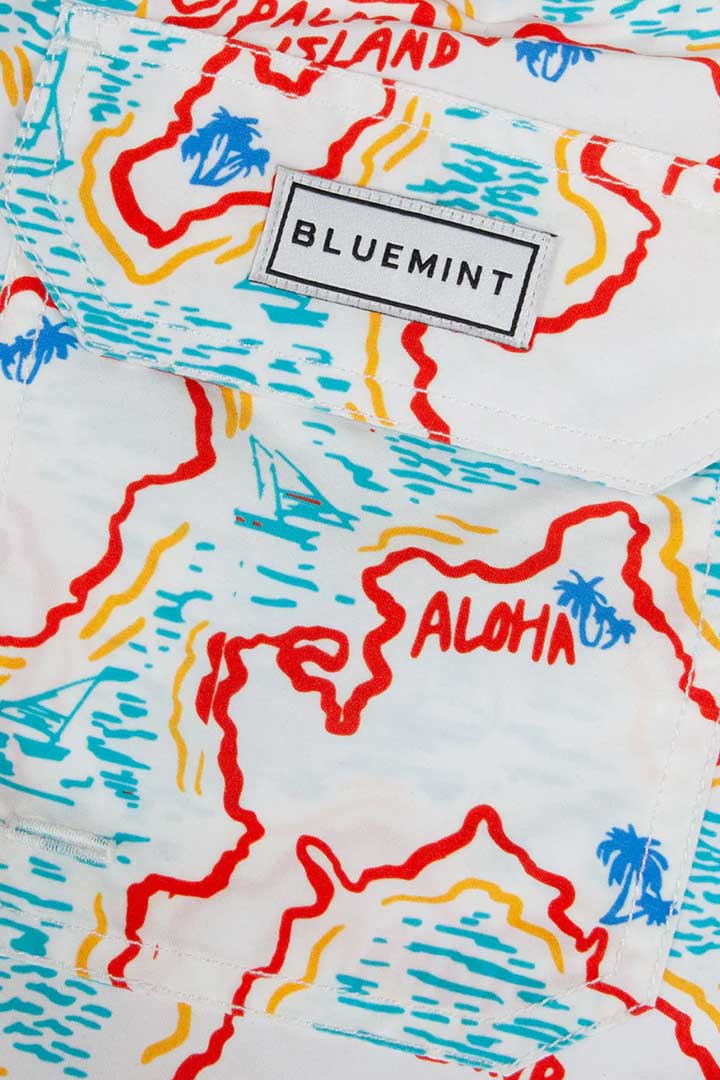Picture of Arthus Swim Short - Bluemint Island
