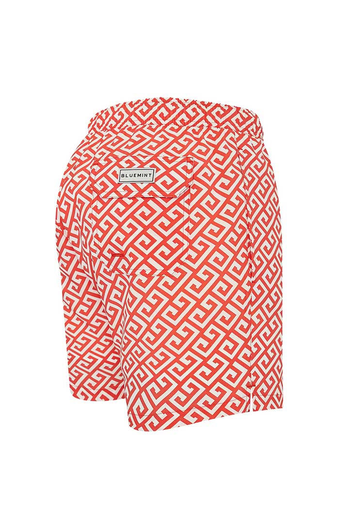 Picture of Arthus Stretch Swim Short - Red Space