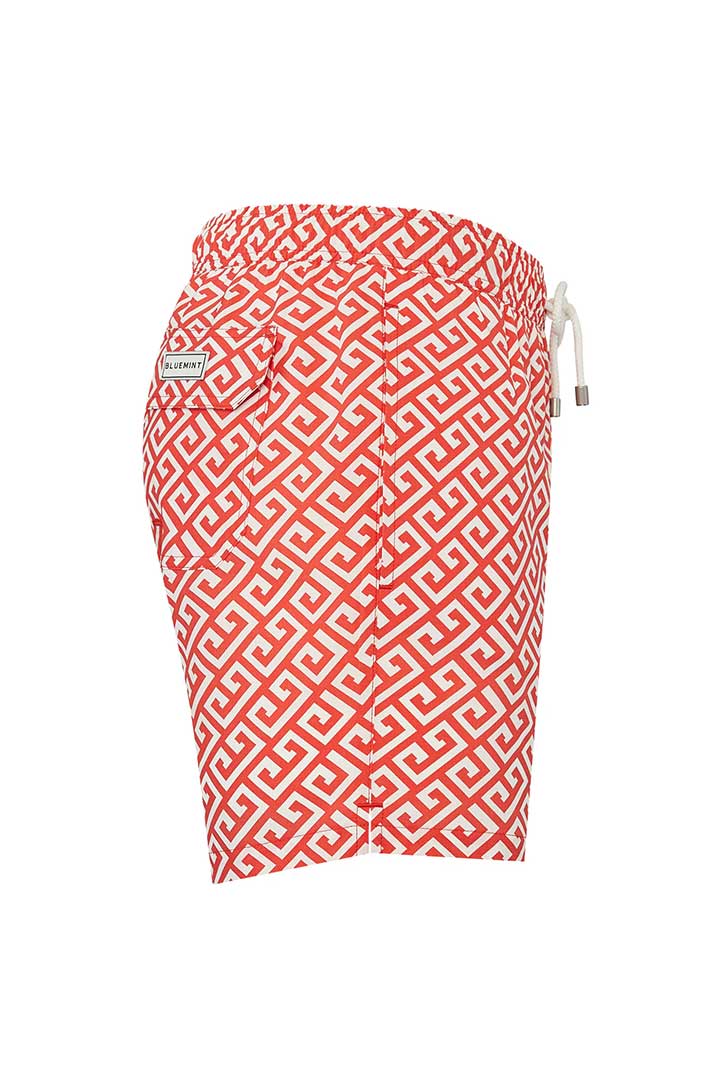 Picture of Arthus Stretch Swim Short - Red Space