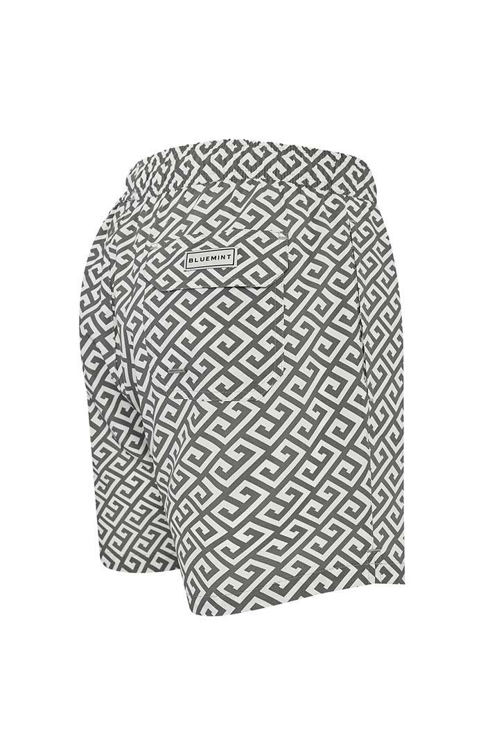 Picture of Arthus Stretch Swim Short - Grey Space