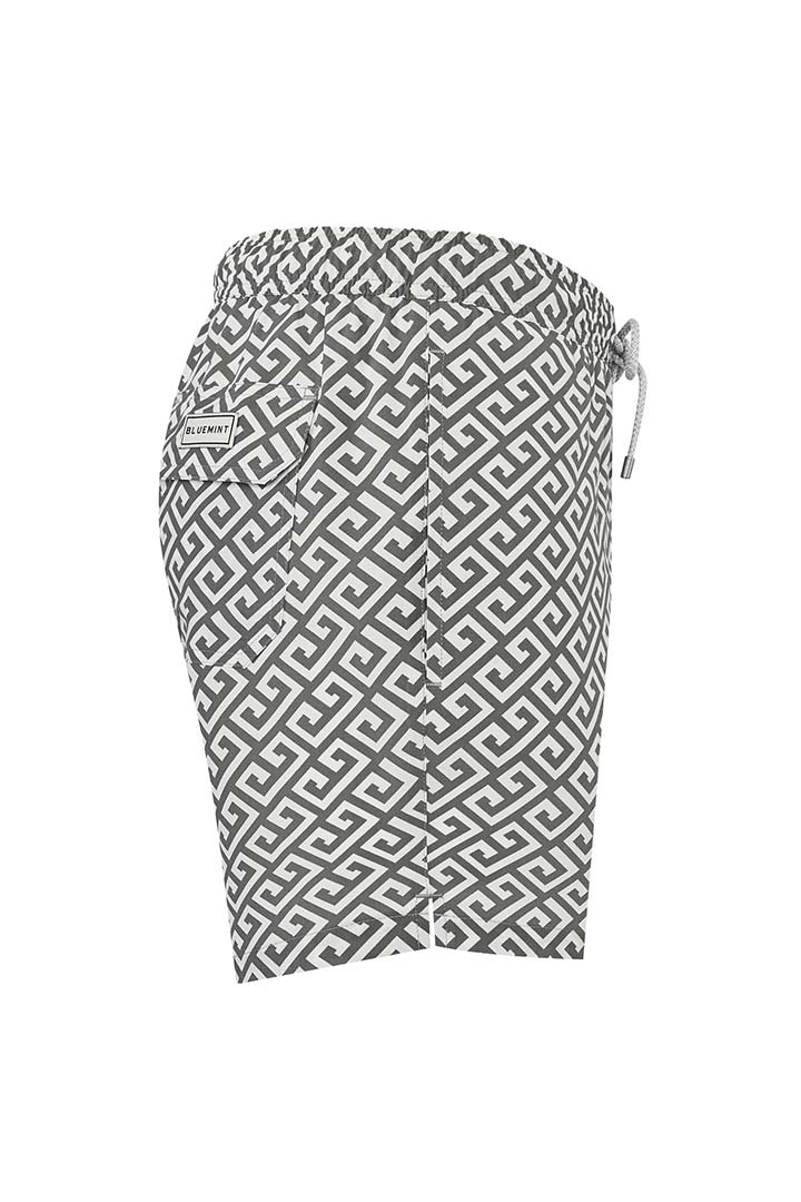 Picture of Arthus Stretch Swim Short - Grey Space
