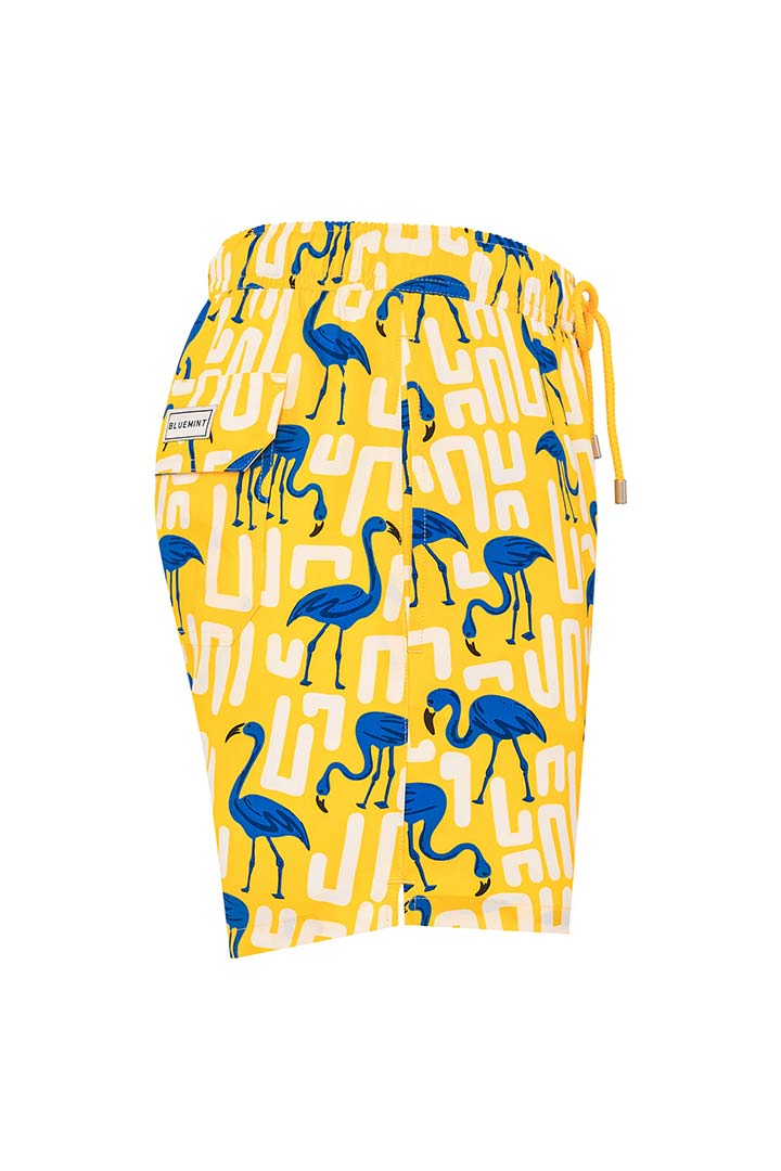Picture of Arthus Stretch Swim Short - YUF