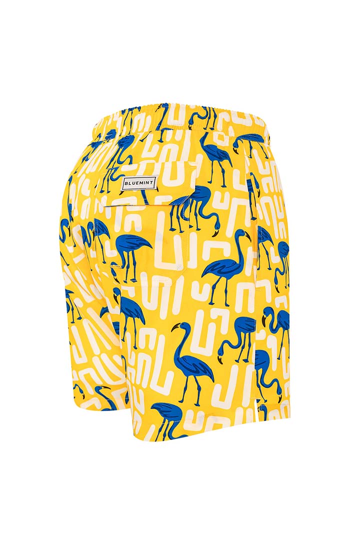 Picture of Arthus Stretch Swim Short - YUF